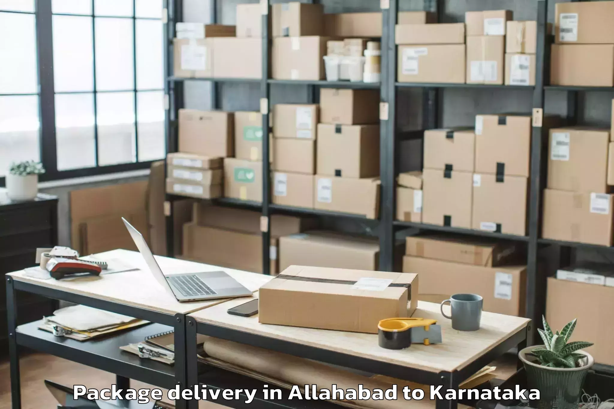 Professional Allahabad to Huliyar Package Delivery